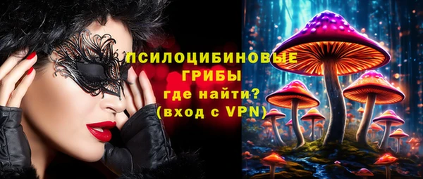 мдпв Арсеньев