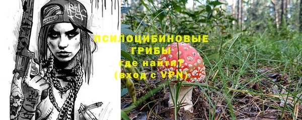 дмт Аркадак