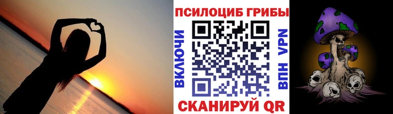 мега ссылки  Кольчугино  Галлюциногенные грибы Magic Shrooms 